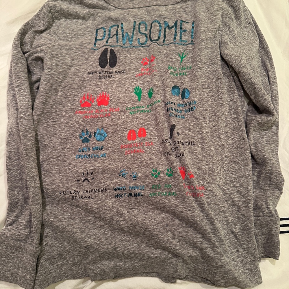 Crewcuts Gray Long Sleeve Graphic Tee